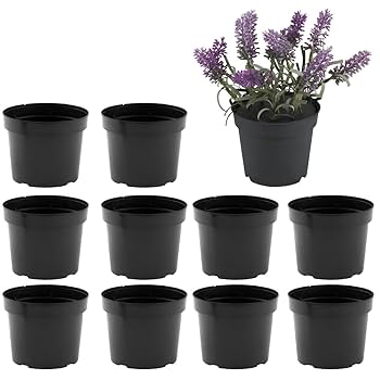 Imagem de vasos pretos para plantas, alinhados em duas fileiras.