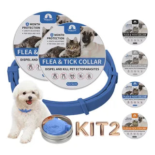 Coleira Generico Elástica Ajustável 1/2 Fivela para Cachorros