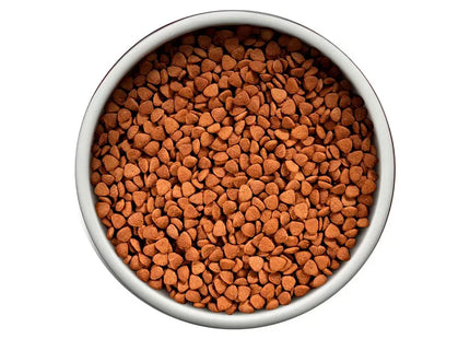 Ração Seca Guabi Natural Frango e Arroz para Cachorros Adultos de Porte Médio