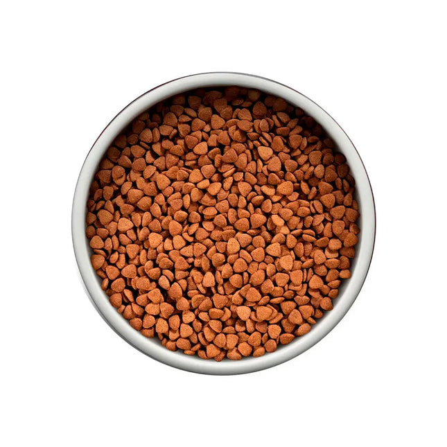 Ração Seca Guabi Natural Frango e Arroz para Cachorros Filhotes de Porte Pequeno