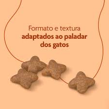 Ração Seca Royal Canin Premium Beleza da Pelagem para Gatos