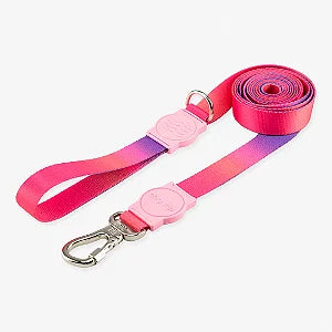 Guia Longa 2 Metros Peniche Dog Trip Brasil – Tamanho M