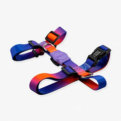 Collection image for: Coleira, Guias e Peitorais