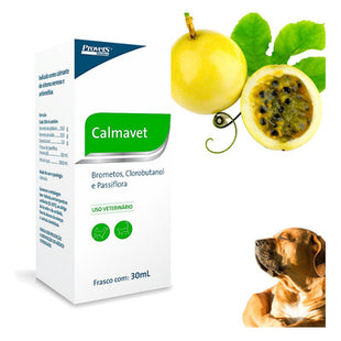 Mordedor Provets Crazy Ball para Cães