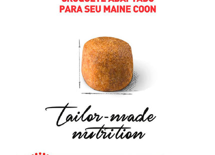 Imagem do croquete adaptado para gatos Maine Coon da Ração Seca Royal Canin.