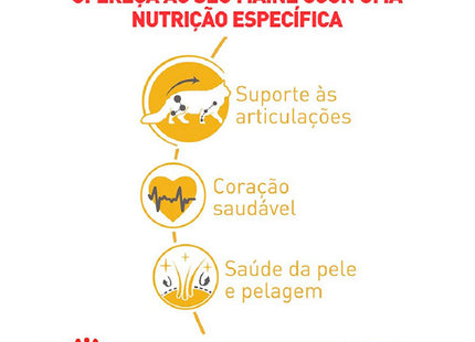 Imagem destacando os benefícios nutricionais da Ração Seca Royal Canin para Maine Coon.