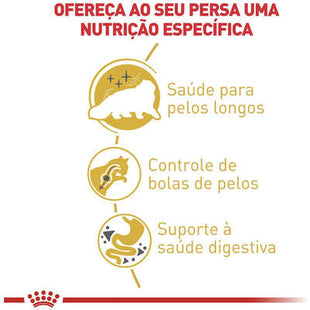 Imagem do produto Ração Seca Royal Canin Persian para Gatos Adultos da Raça Persa, tipo Ração Seca, marca Royal Canin.