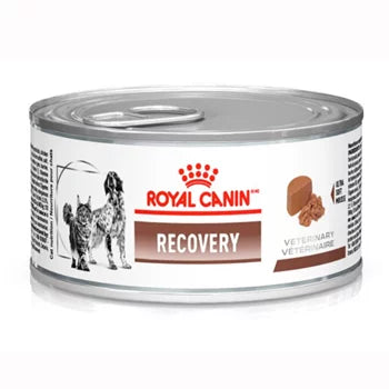 Imagem do produto Ração Úmida Medicamentosa Royal Canin Recovery para Cachorros, tipo Ração Úmida Medicamentosa, marca Royal Canin.