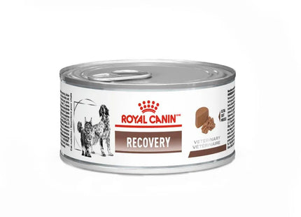Ração Úmida Royal Canin Patê para Gatos Filhotes