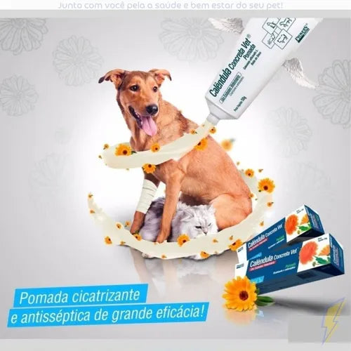 Cicatrizante Social Pet Cmr Pomada 15g para Cães e Gatos