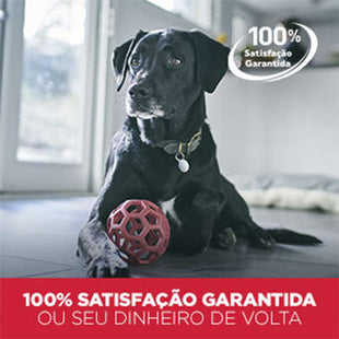 Desinfetante Social Pet 20%
